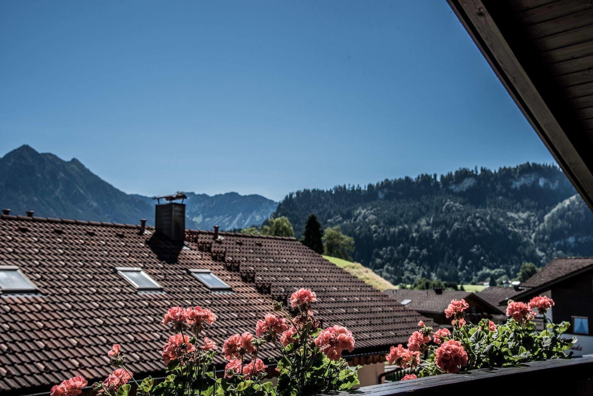 Haus Susanne - Top-Ferienwohnungen - Sommer-Bergbahn Inklusive โอเบอร์ไมเซลชไตน์ ภายนอก รูปภาพ